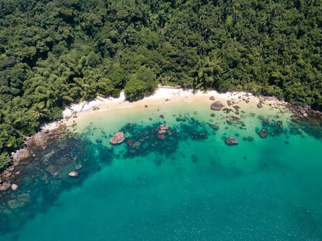 Ilha das Couves vista de cima, com mata, praia e água turquesa
